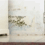 What Is Black Mold?